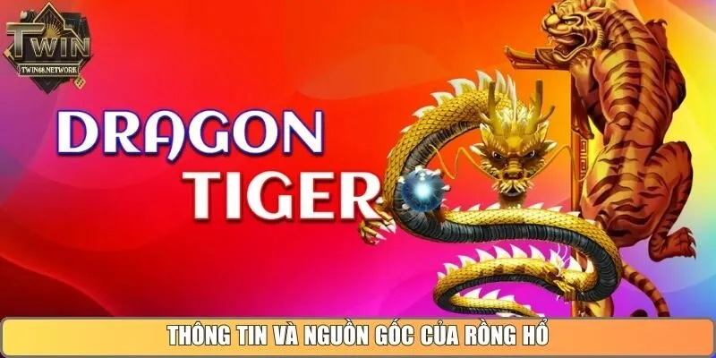 Thông tin và nguồn gốc của rồng hổ 
